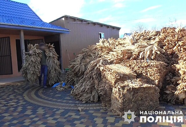 На Тернопільщині викрили підпільний тютюновий бізнес