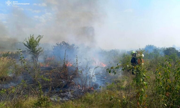 Понад 420 пожеж сталось на Тернопільщині з початку року