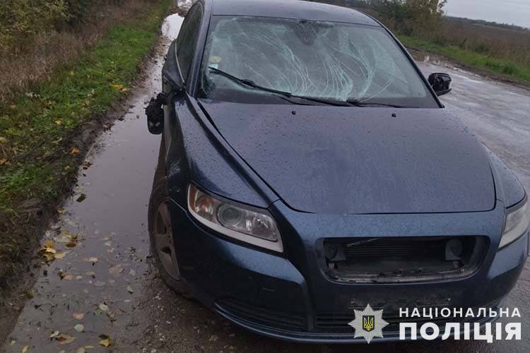 На Тернопільщині водій Volvo збив лося