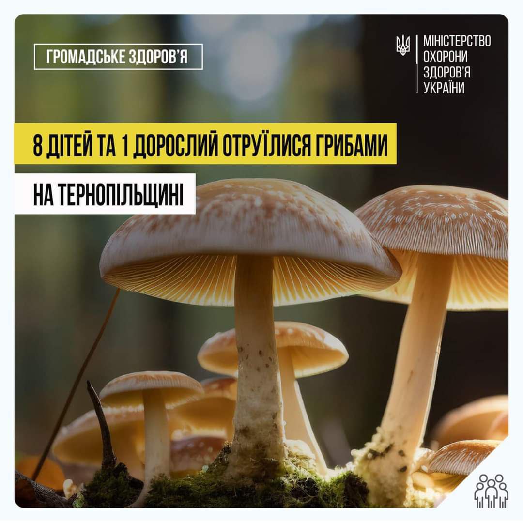 На Тернопільщині восьмеро дітей і один дорослий отруїлися дикими грибами