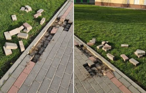 У Шумській громаді вандали знищили майно: їх розшукують